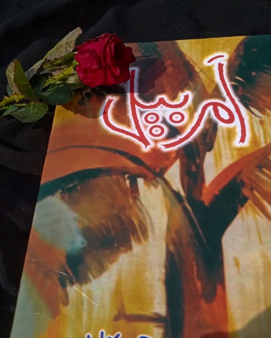 “Amar Bail (امر بیل)” by Umera Ahmed