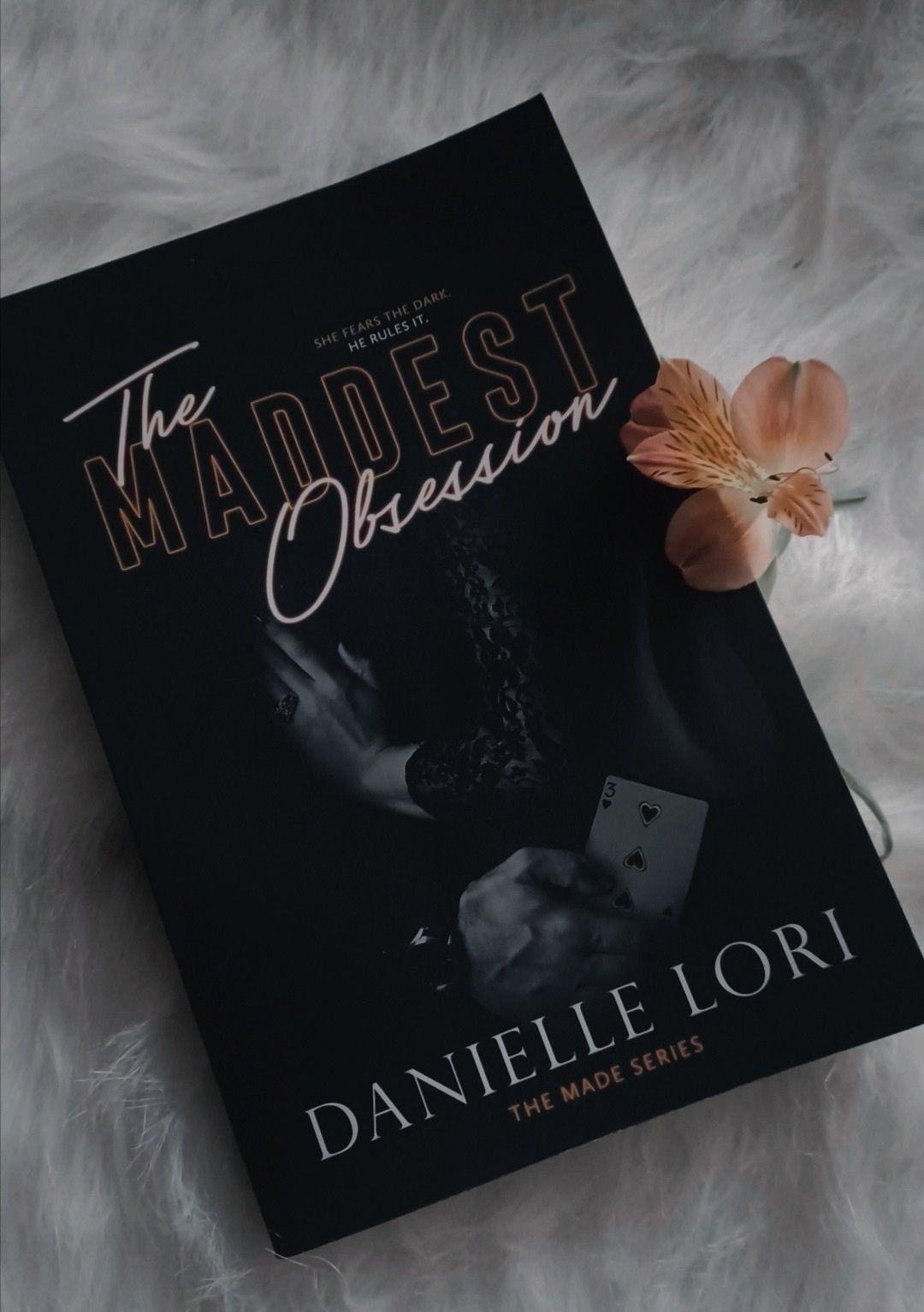 The Maddest Obsession by Danielle Lori